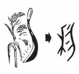 中国历史上第一本书,讲了个大秘密别被某些人给忽悠了