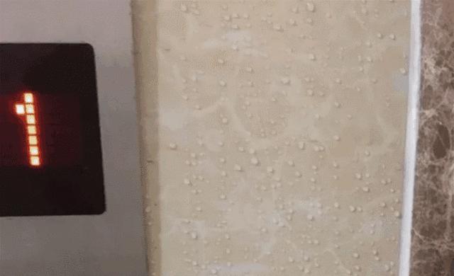 夏天屋内霉斑,下雨受潮的霉斑怎么清洗