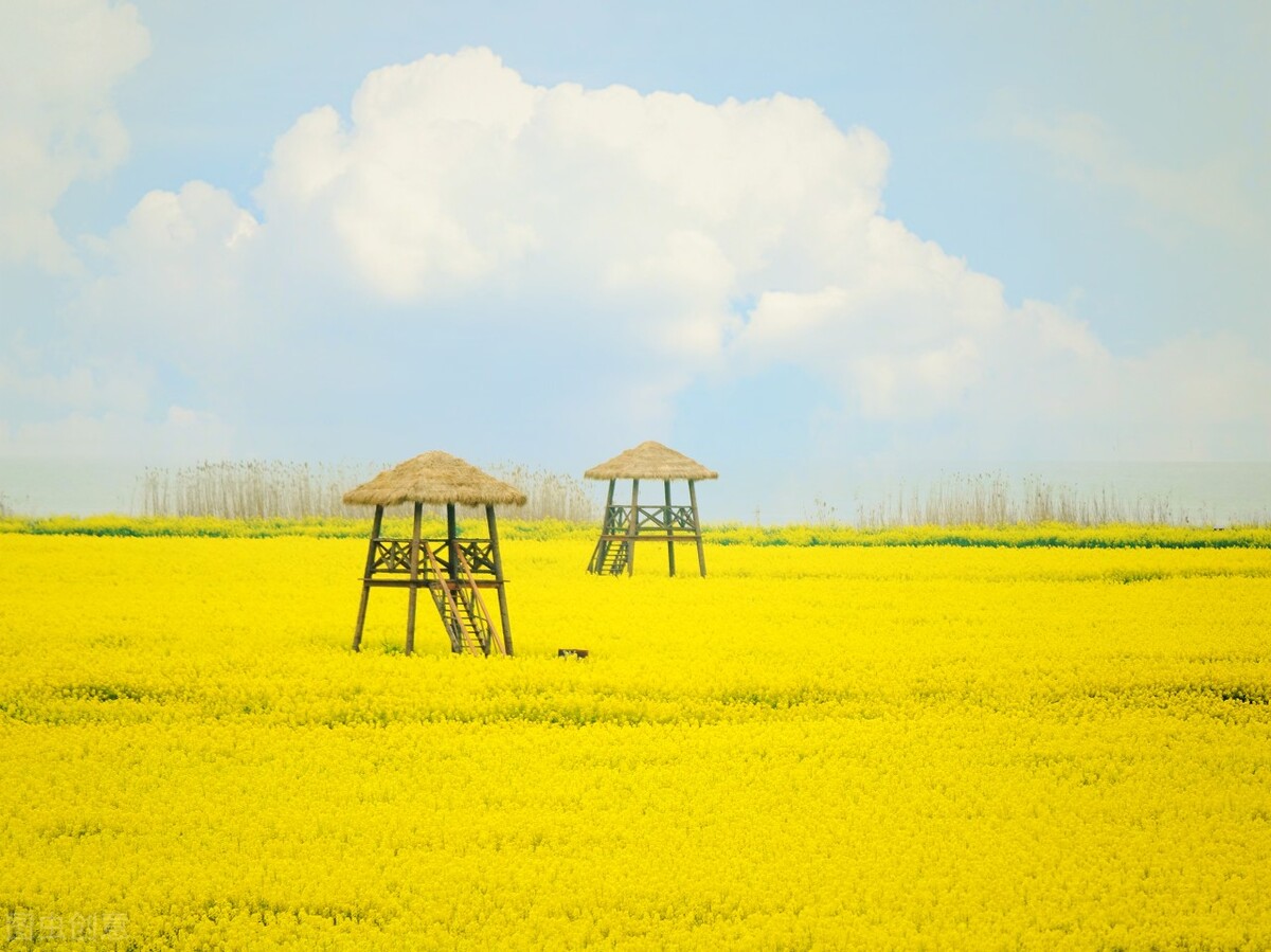 出租车营运证为什么会跌价,出租车营运证最新消息