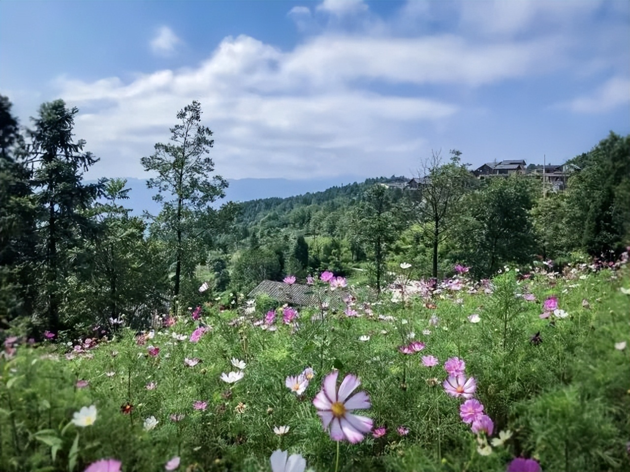 乡村改造创意工坊设计概念,极简乡村改造设计