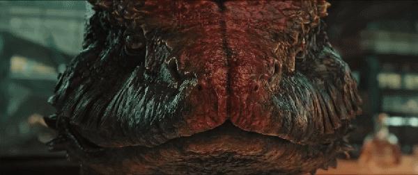 当年人蛇大战电影用了多少蛇 (人蛇大战最新一期)