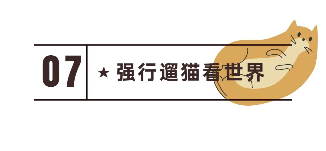 新手常见的害猫行为,养猫注意预防哪些疾病