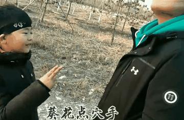 家有儿女武林外传哪一部比较搞笑,武林外传是不是中国原创情景剧