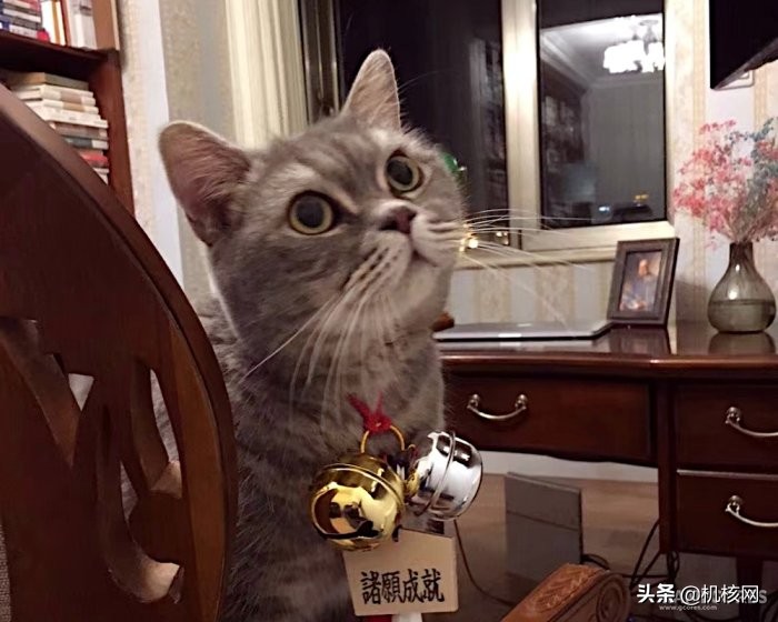 绝不松开我的拳头资源,玩家绝不屈服