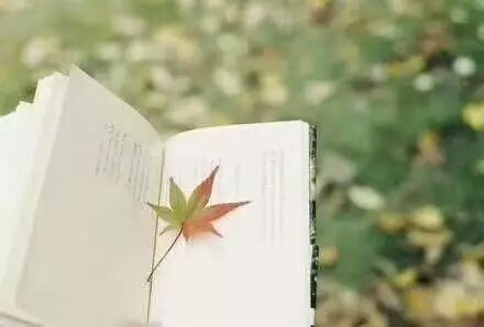 濮ュД闄,濮ュД闄鍙ゆ枃