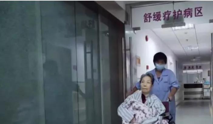 上海唯一“安乐死”医院，癌症病人不接受任何治疗，有尊严的离去