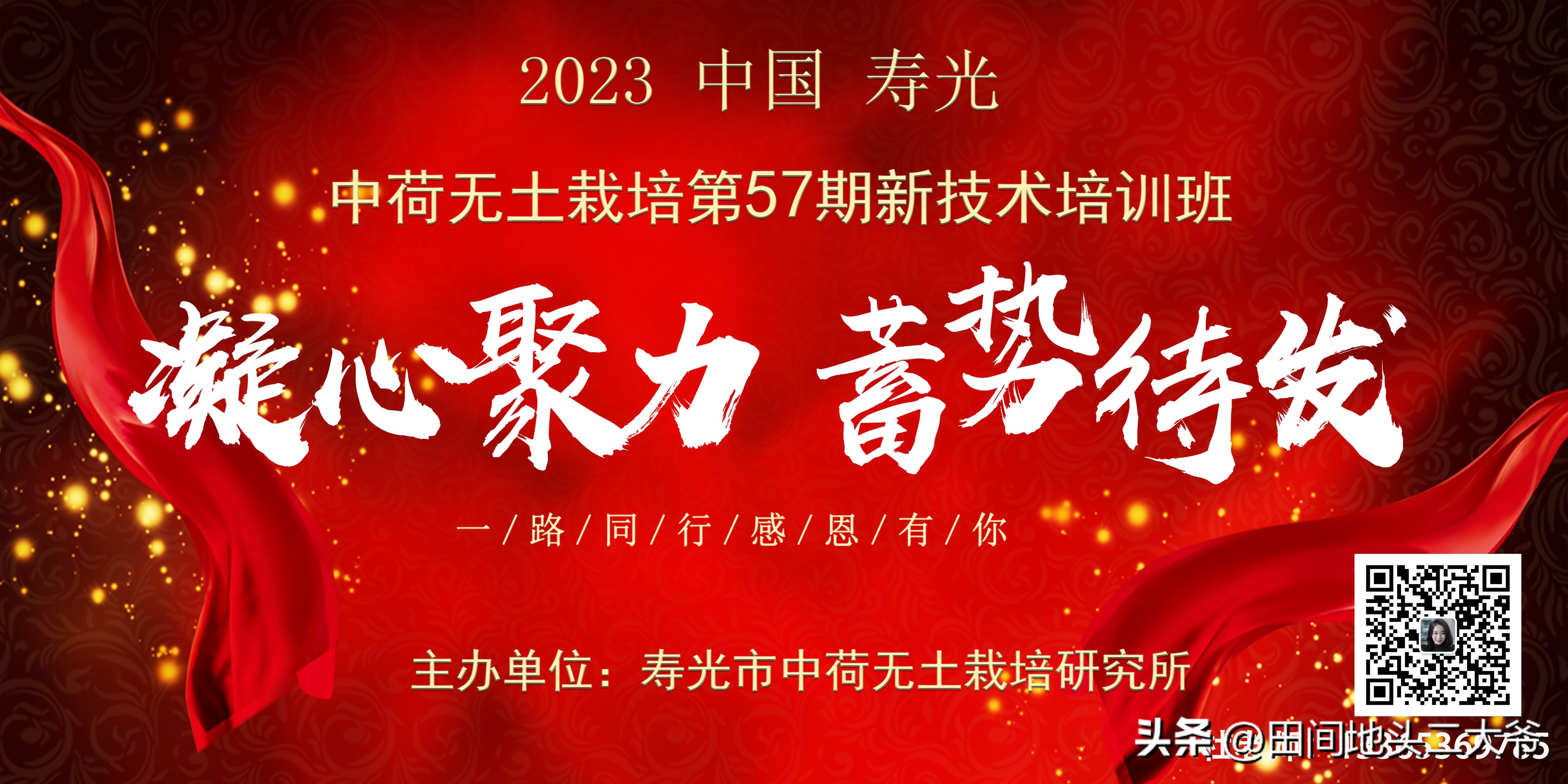 种植业最赚钱的方法,农业种植的赚钱方法有哪些