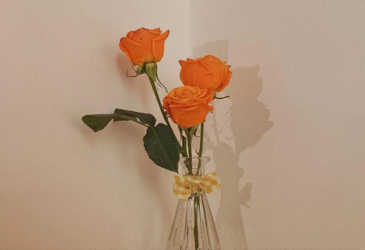 两性之间女人最需要的是什么,两性之间的相处模式女人爱你