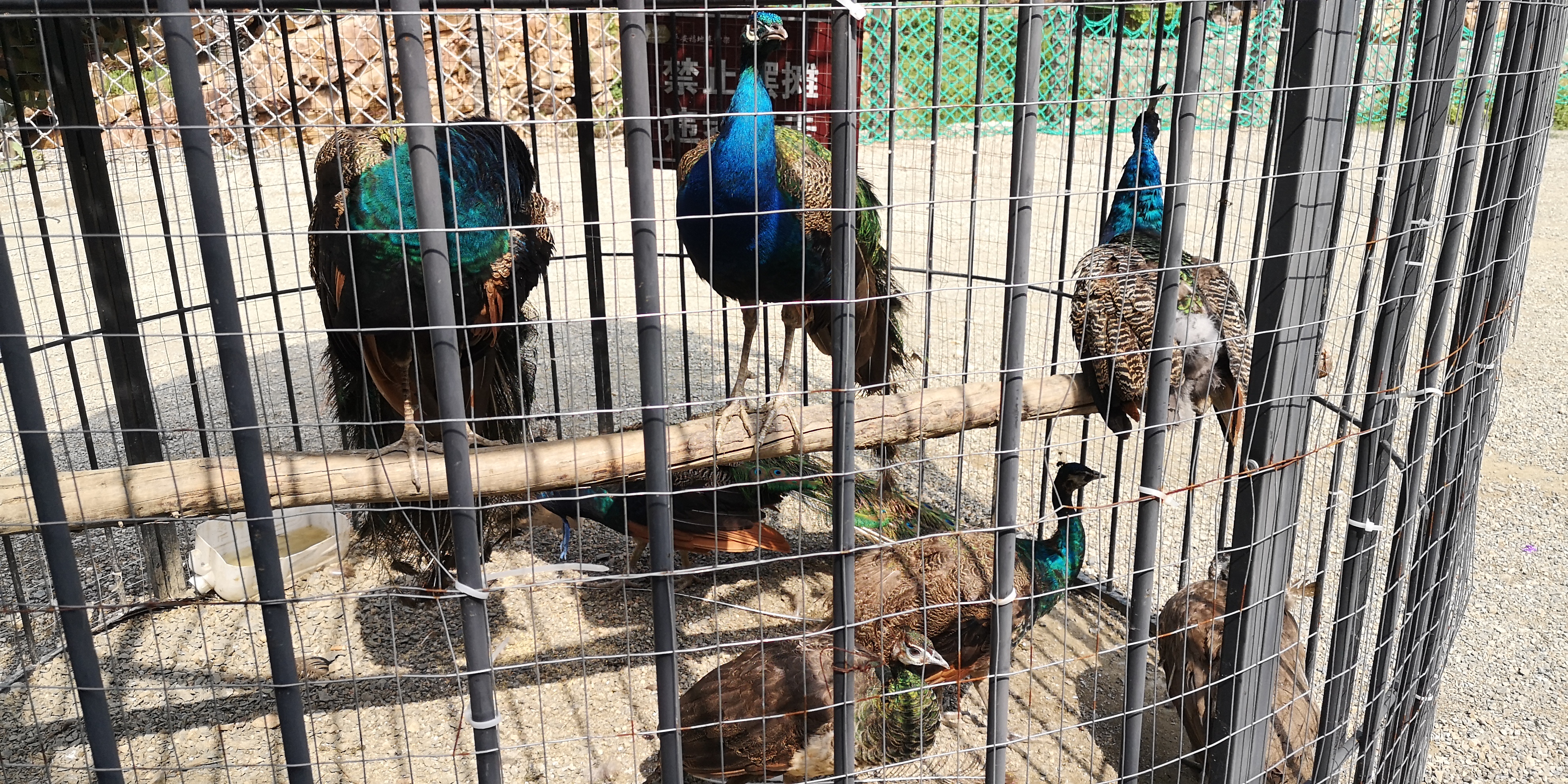 天津上乐园蓟县旅游攻略,天津蓟州太平寨旅游