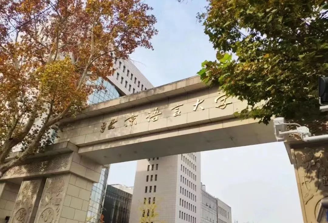 想实现多规发展，北京国际化学校都有哪些小语种可供选择？