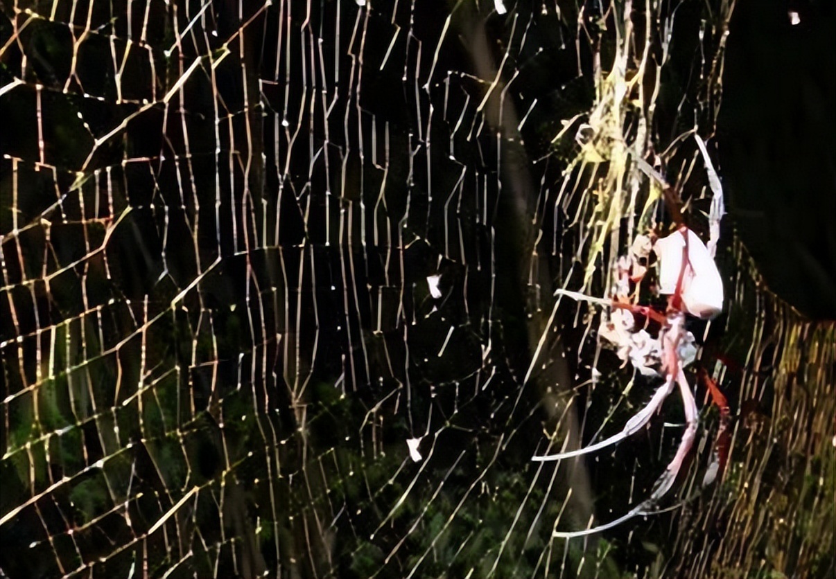 中国以前的足球有多厉害,趣知识科普