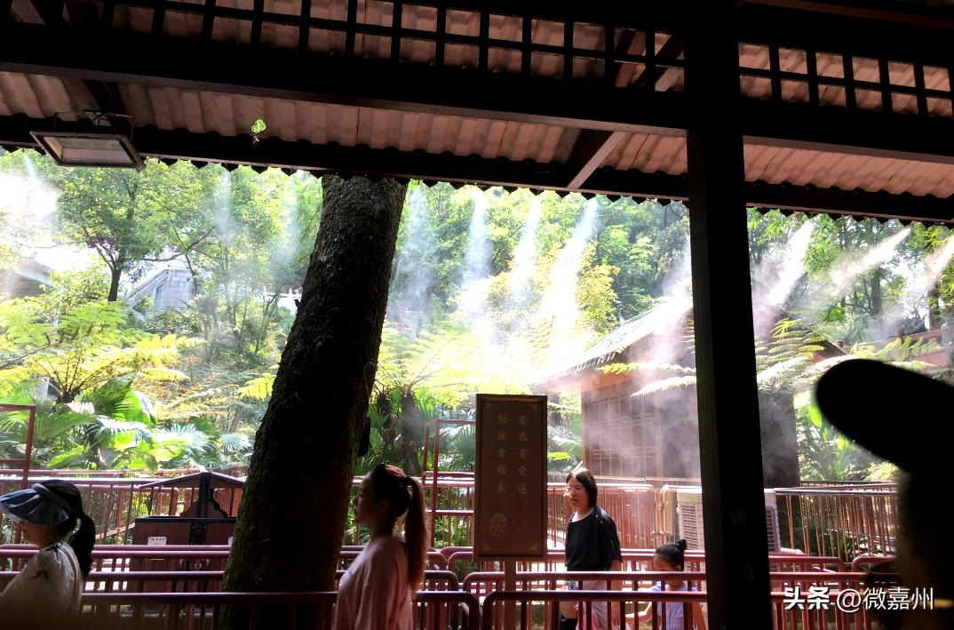 ҉҉҈热҉҉҈！热҉҉҈！热҉҉҈！高温下的“烤验”