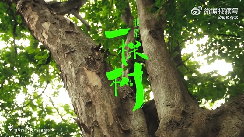 京东手机讲童趣，元气森林玩转折，美团买卖搞新潮【案例挖掘机】