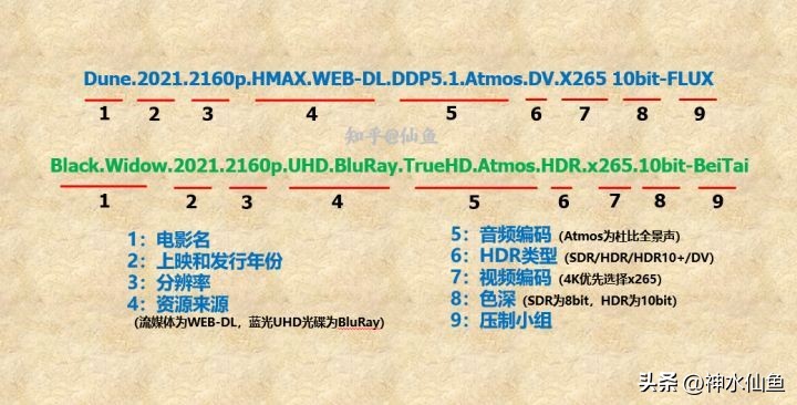 小科普：电影文件名中的WEB-DL、DDP、X265都是什么意思？