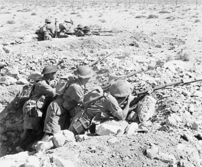 达尔文打狙后遗症,达尔文被轰炸