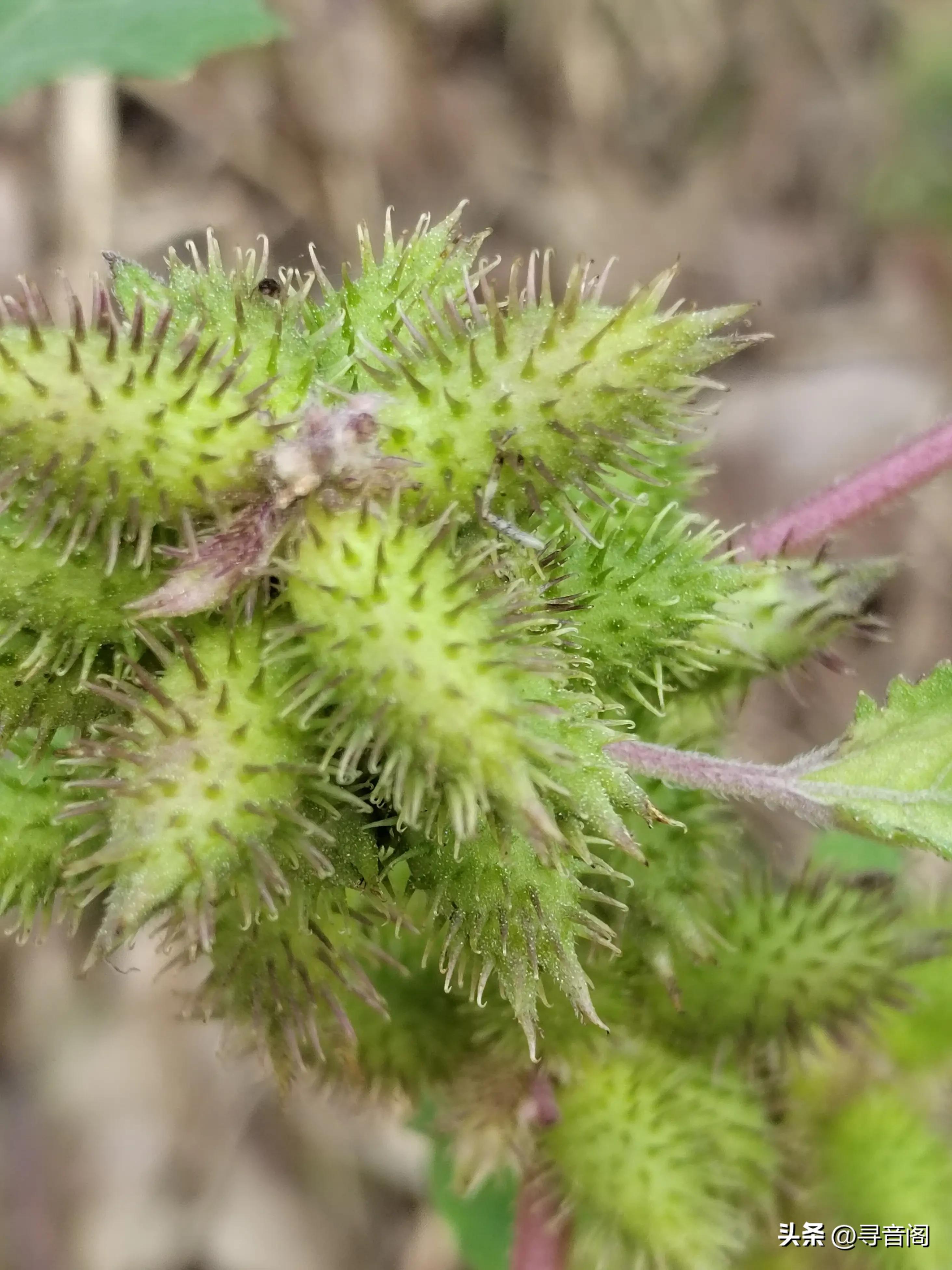 中国足协最新足球消息,中国足球足协管理层调整
