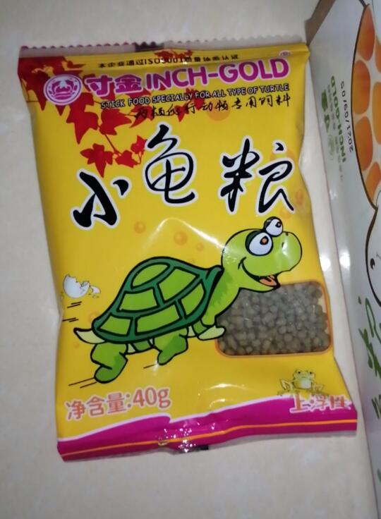 养乌龟新手推荐,龟用品