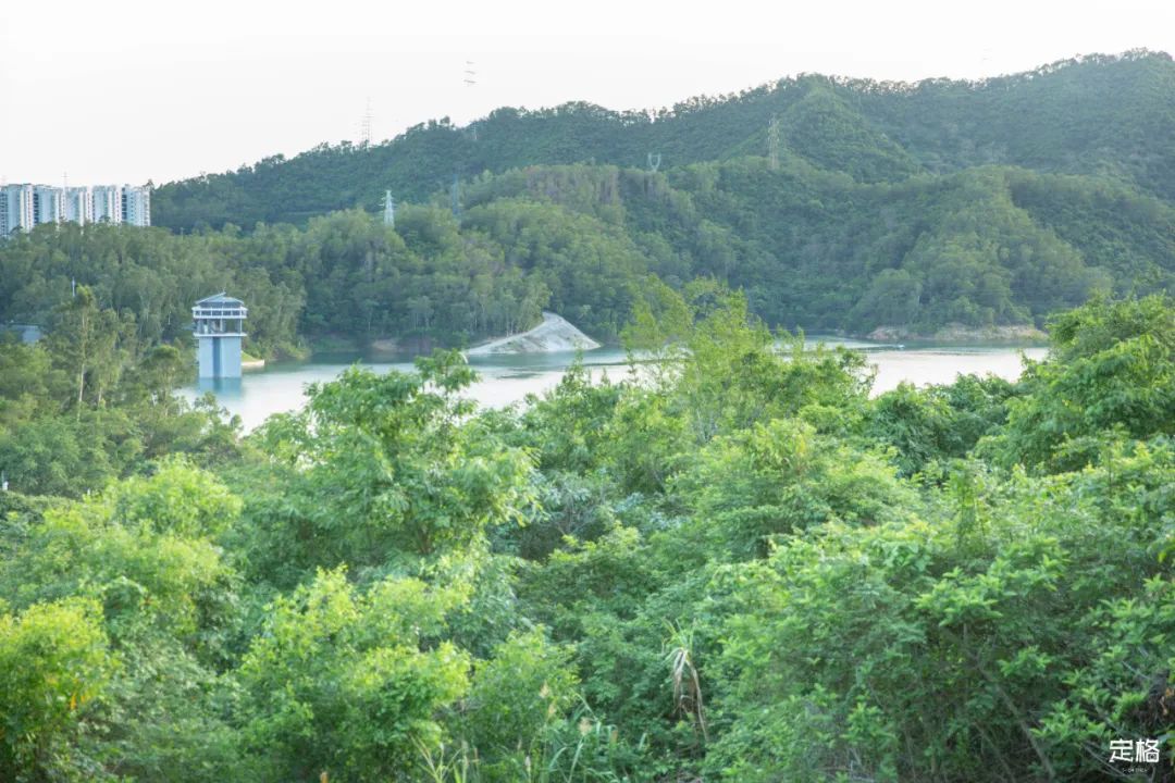 深圳10公里跑步路线,深圳跑步路线推荐塑胶跑道