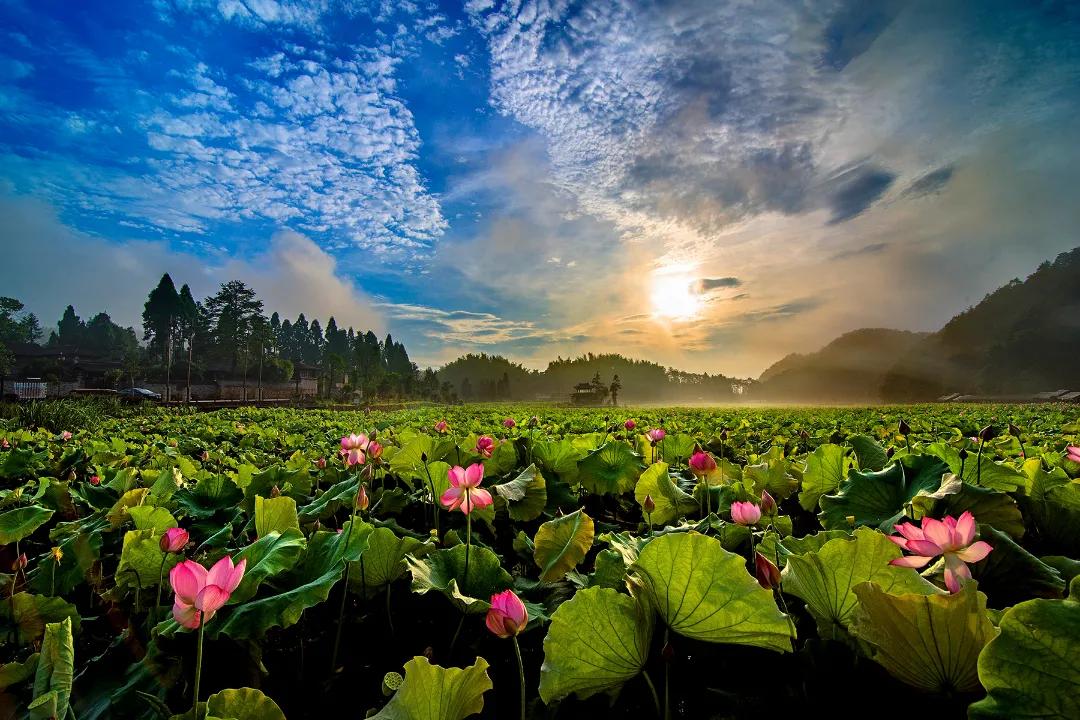 春节出游必看！温州这12条特色线路诚意满满，带你玩转虎年春节！