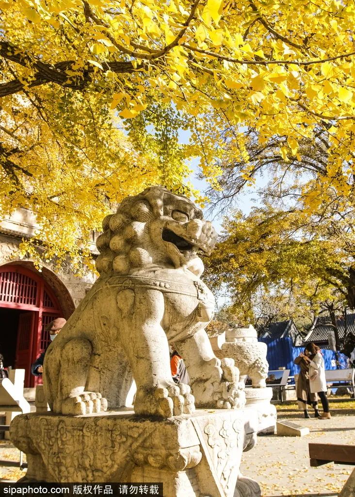 北京的小众博物馆有哪些值得去,北京周三免票的博物馆