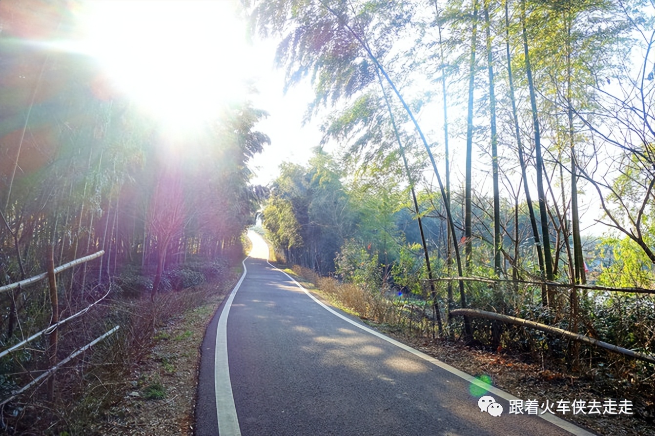 宜兴小镇的深氧之旅——张渚镇龙池山自行车公园
