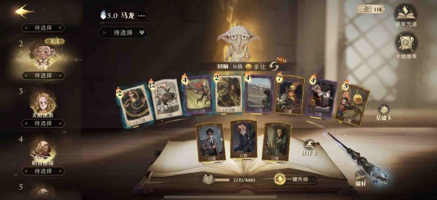 哈利波特：魔法觉醒：多比野排需要注意什么？这份攻略教会你