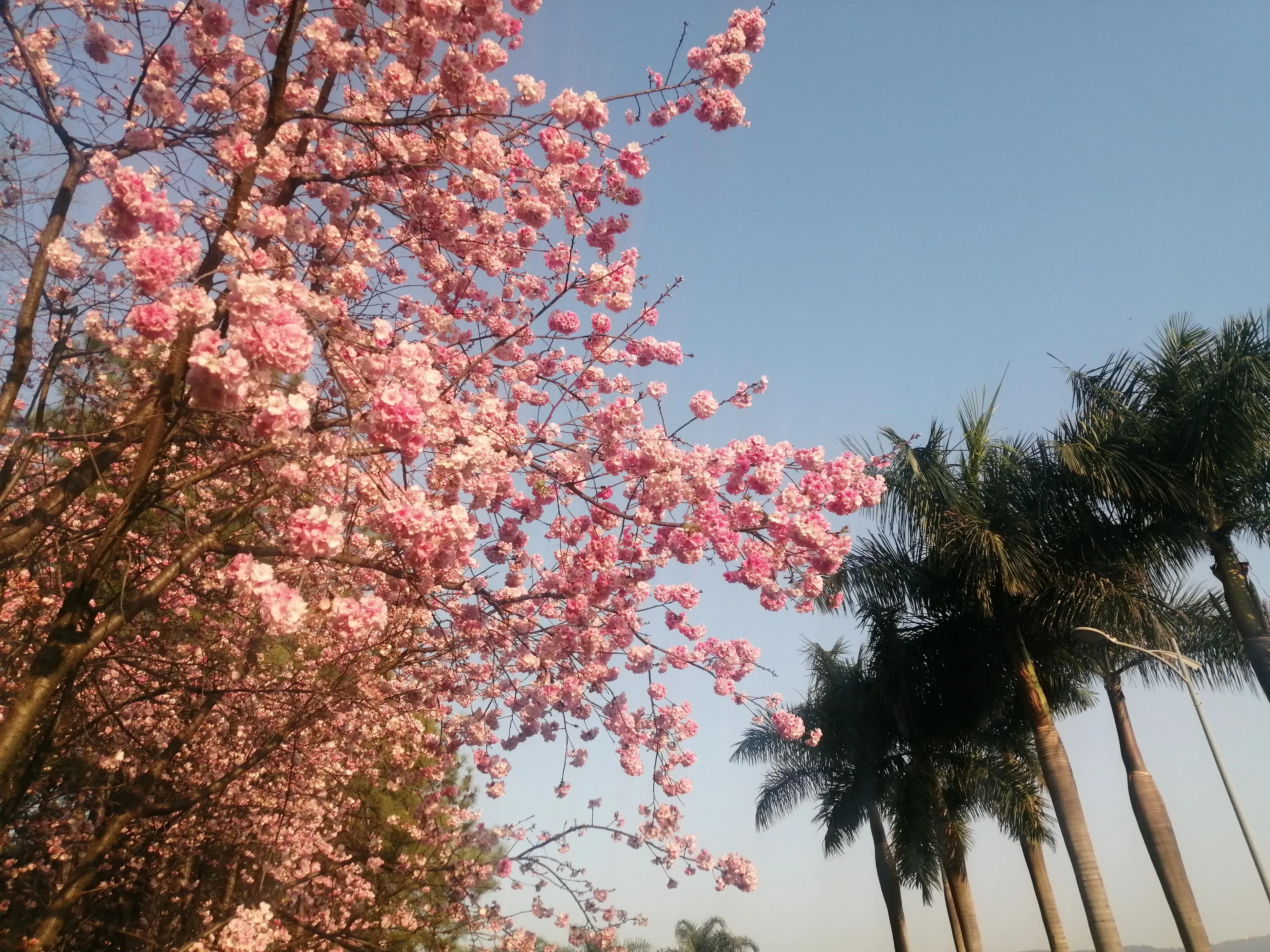 弥勒旅居包吃住三号院,弥勒旅居养老基地包月包吃住