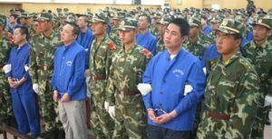 河北唐山杨树宽合集,河北黑老大覆灭记