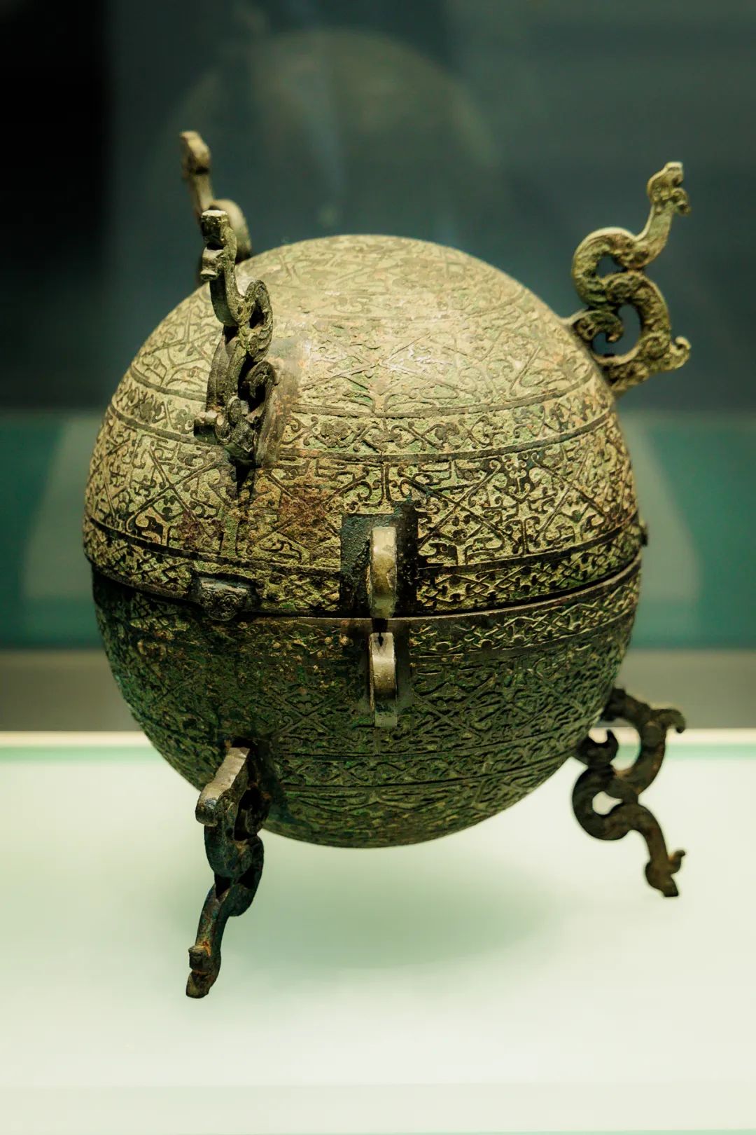 蒸牛肉的正确做法视频教程,蒸牛肉的教程