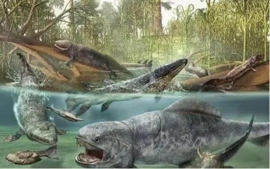 人类的祖先鱼类两栖类生物名字,为什么人类的祖先是鱼呢