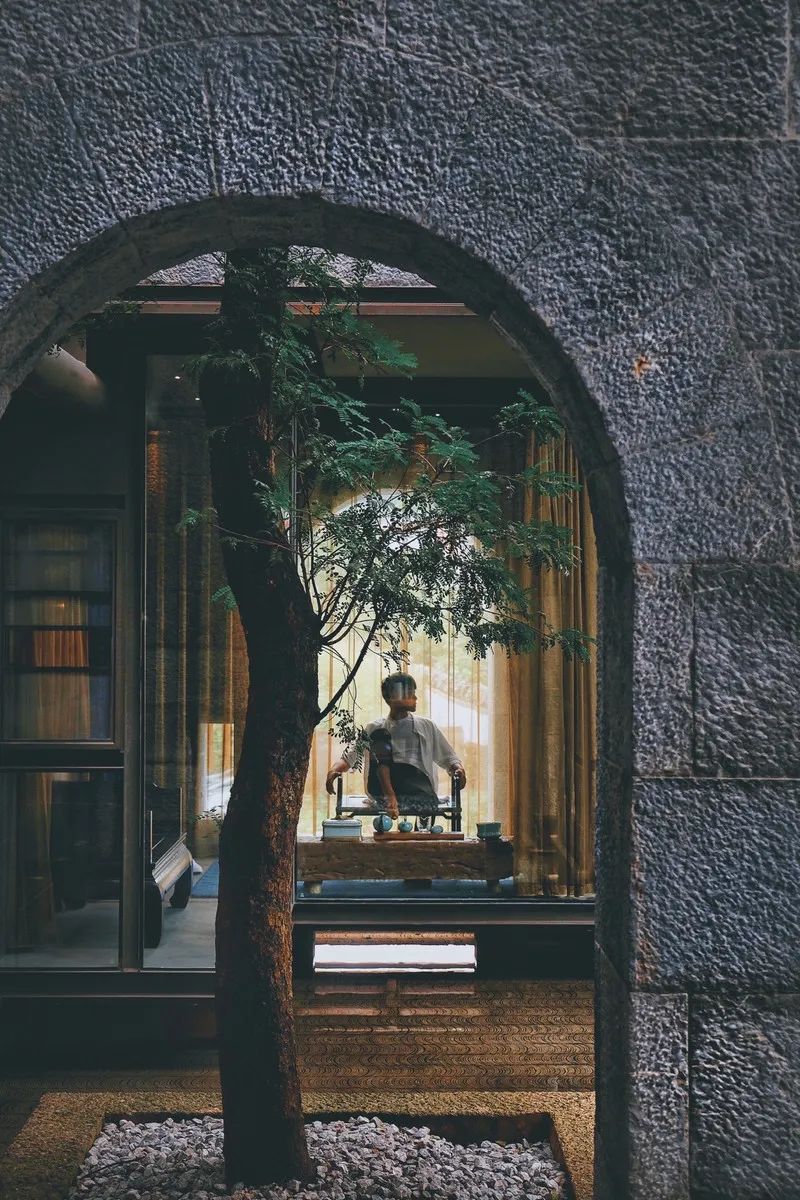 拜托！喝一杯价值8000多万的古树茶，住雪山博物馆酒店，超酷欸