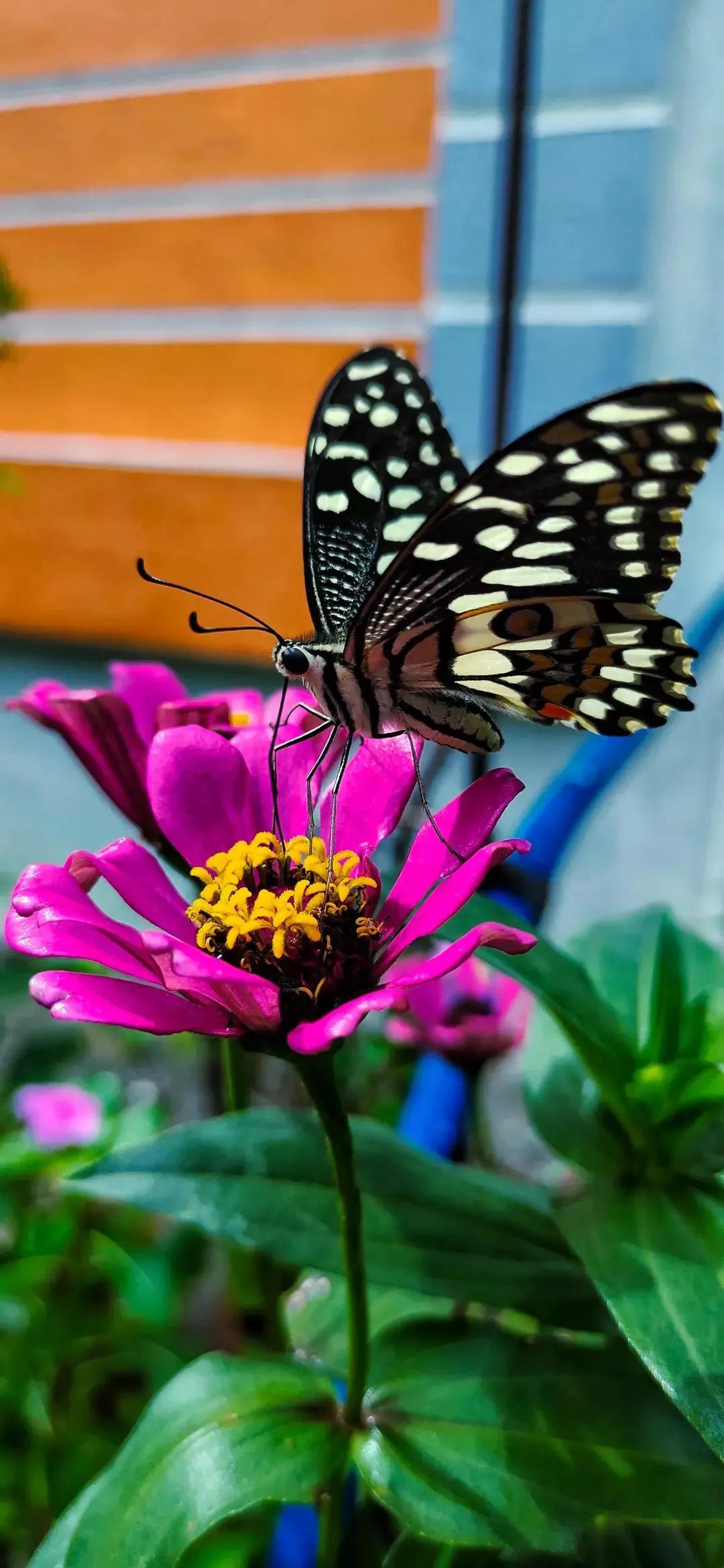 歼20高清壁纸4k全屏无水印,精选壁纸高清无水印高级感