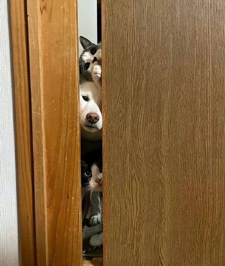 一个人动手赚1000万，对世界的看法就会变得成熟