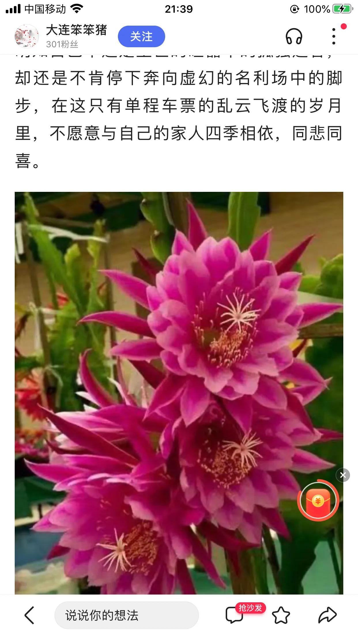 关于情人节的故事小视频,关于情人节的故事及寓意