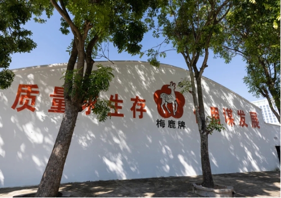 广东一名酒崛起，曾名胜茅台，也曾破产20年，如今破茧归来太传奇