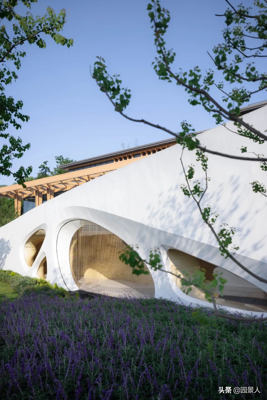 南山之北，理想生活追寻丨保利·麓谷林语