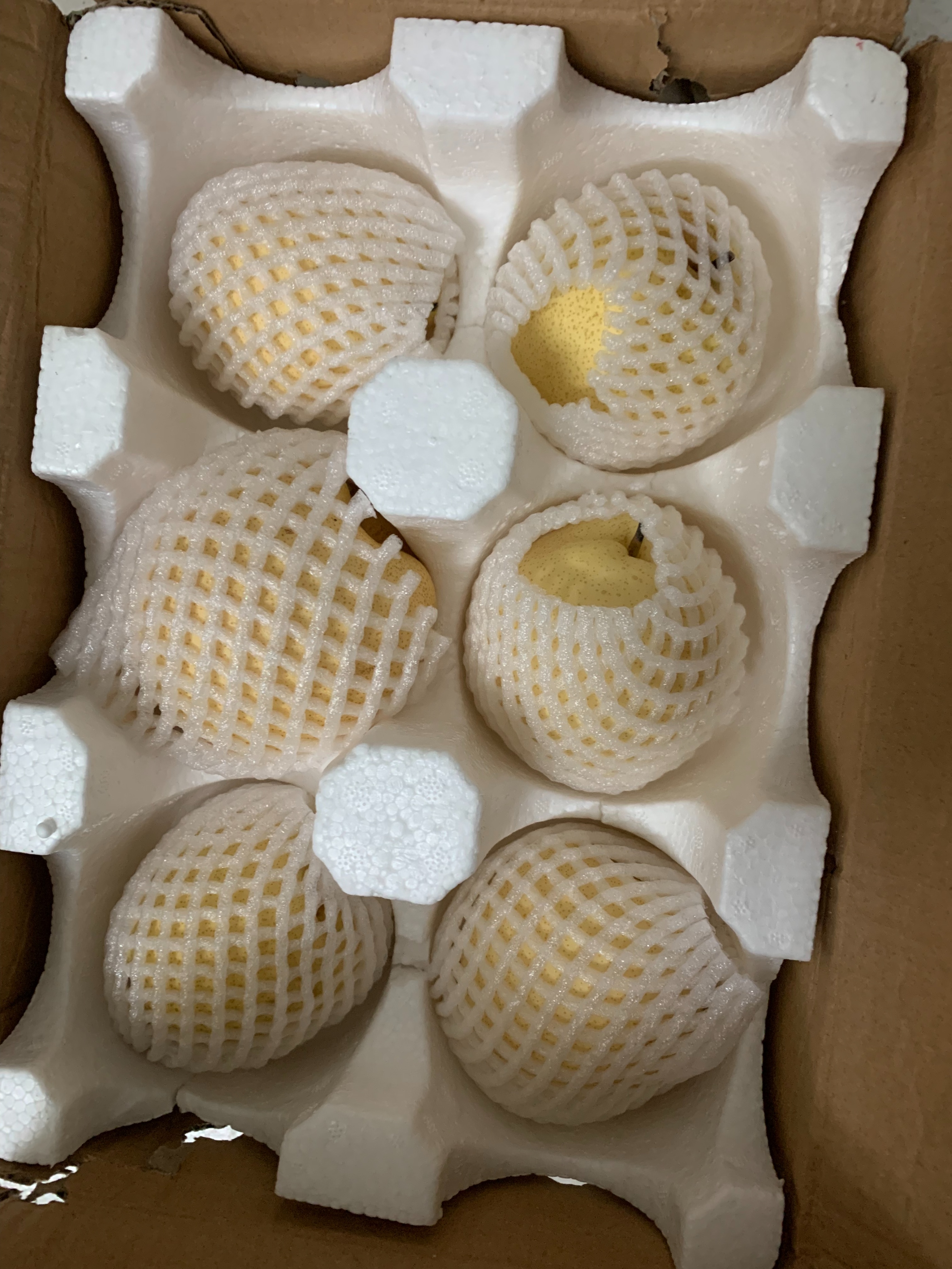 蚂蚁森林有多少人去种真的树,蚂蚁森林芭芭农场是干啥的