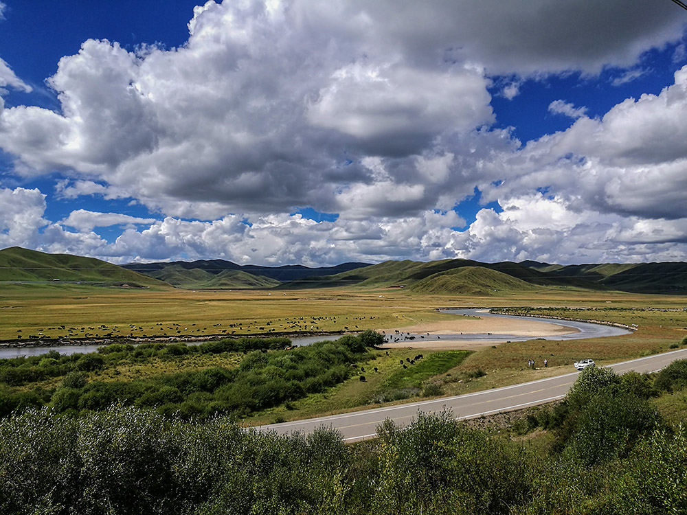 西部大草原旅游攻略,四川红原大草原自驾旅游攻略