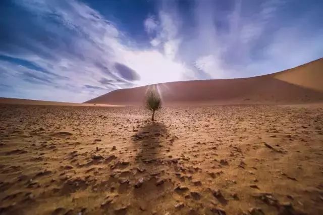 奥林巴斯摄影获奖照片,奥林巴斯摄影比赛视频