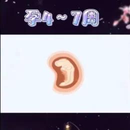 胎儿健康发育的基本知识,十秒钟带你了解胎儿发育