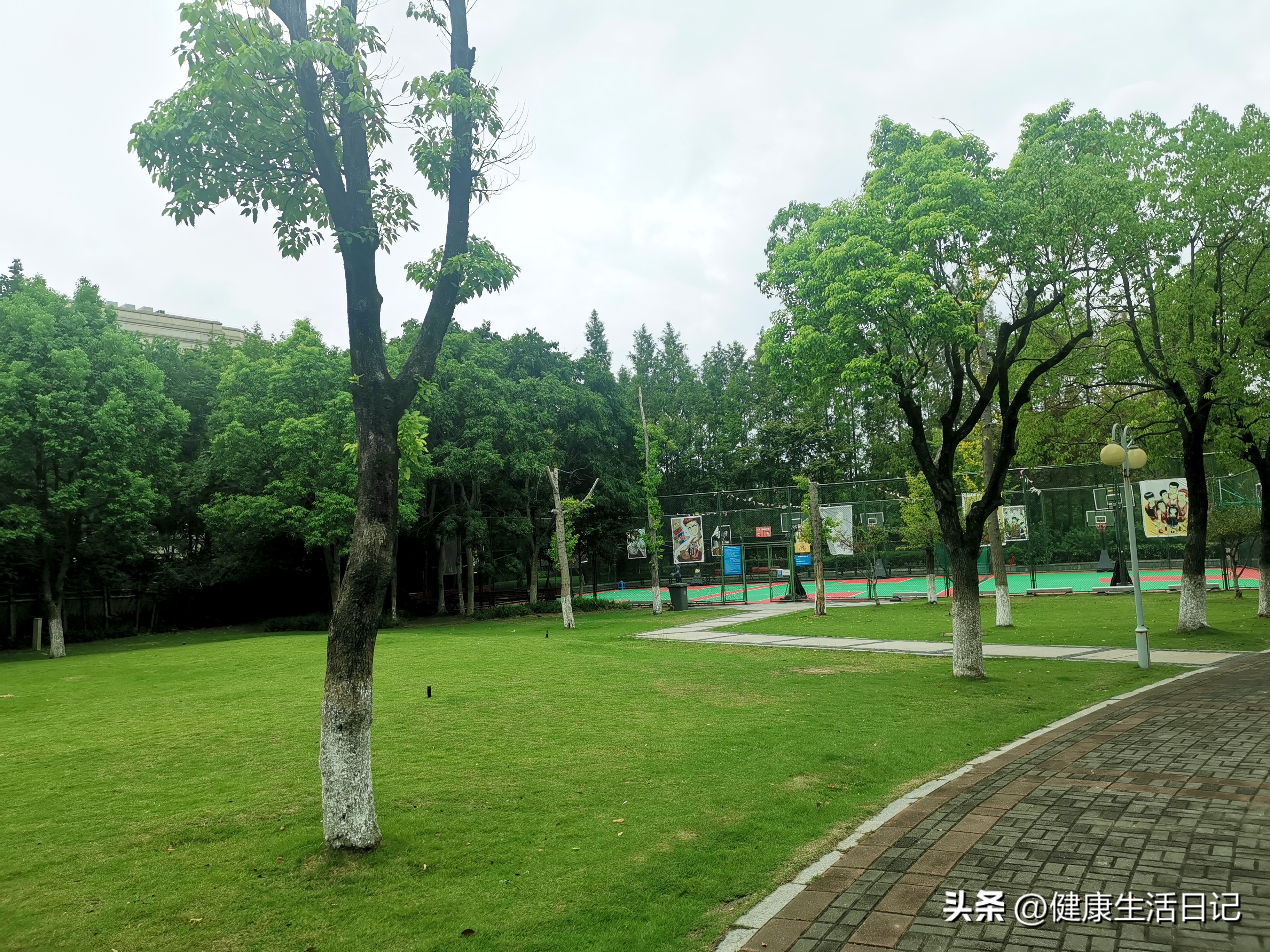 上海三林的公园,上海浦东三林公园在哪里