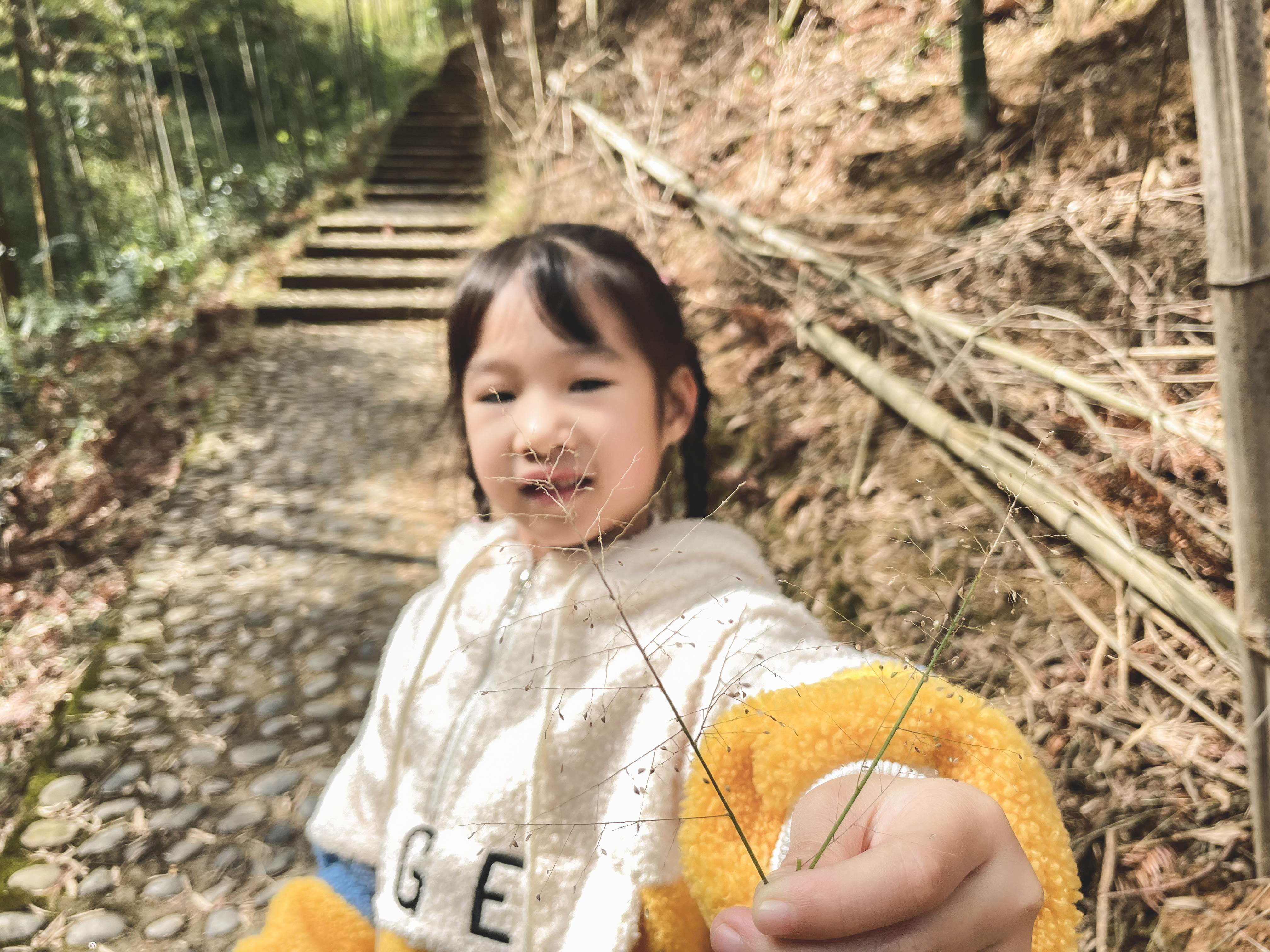 广州南昆山温泉旅游攻略,秋冬季来临广东热门温泉攻略