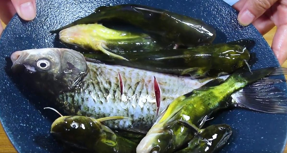 中老年要多吃3种肉提高免疫力,中老年增加抵抗力吃什么肉