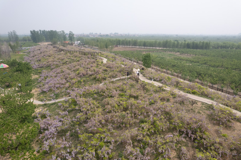 宿州两日游,安徽宿州一日游推荐