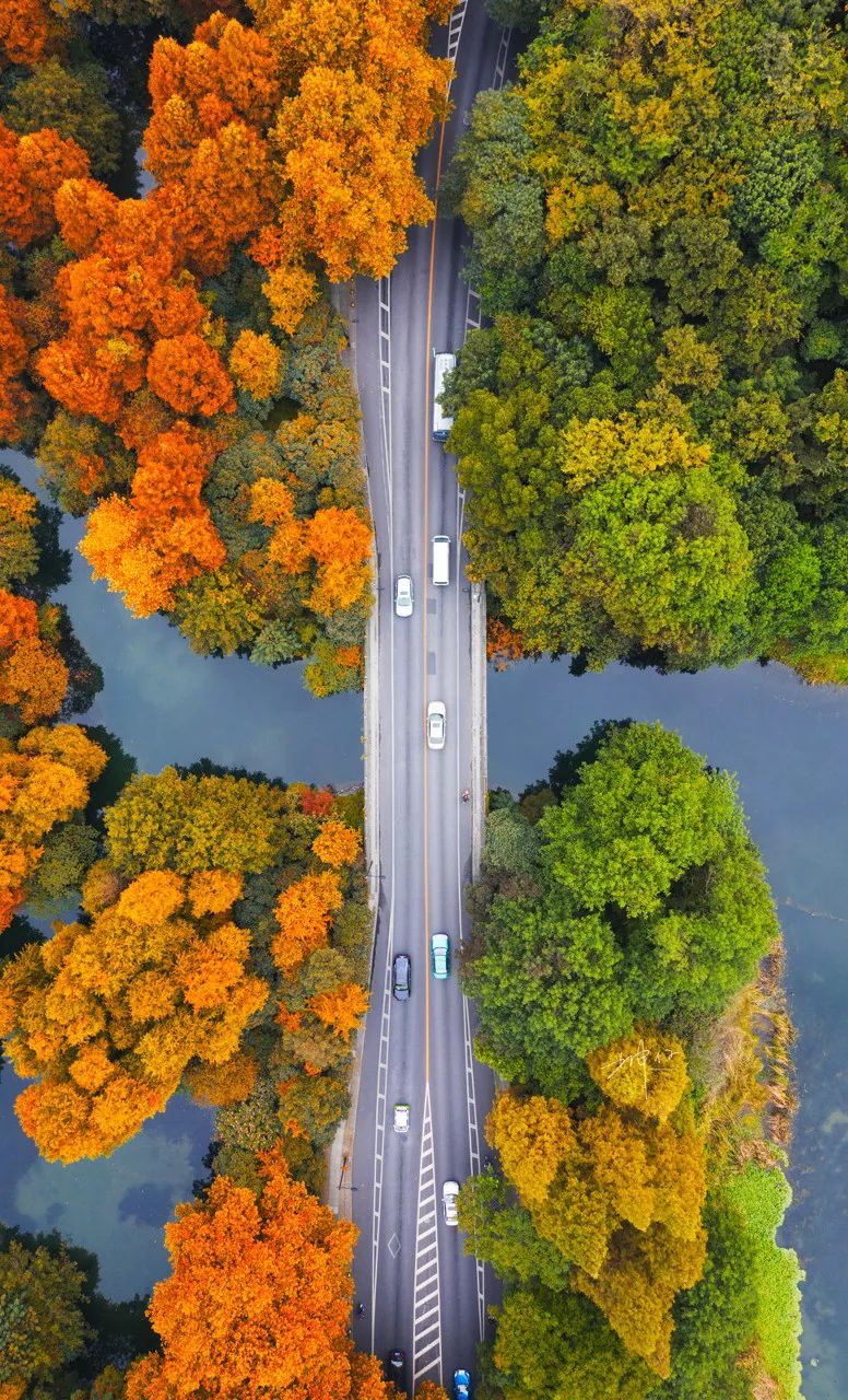 激动！每天10000张！1分钱！杭州人赶紧安排！