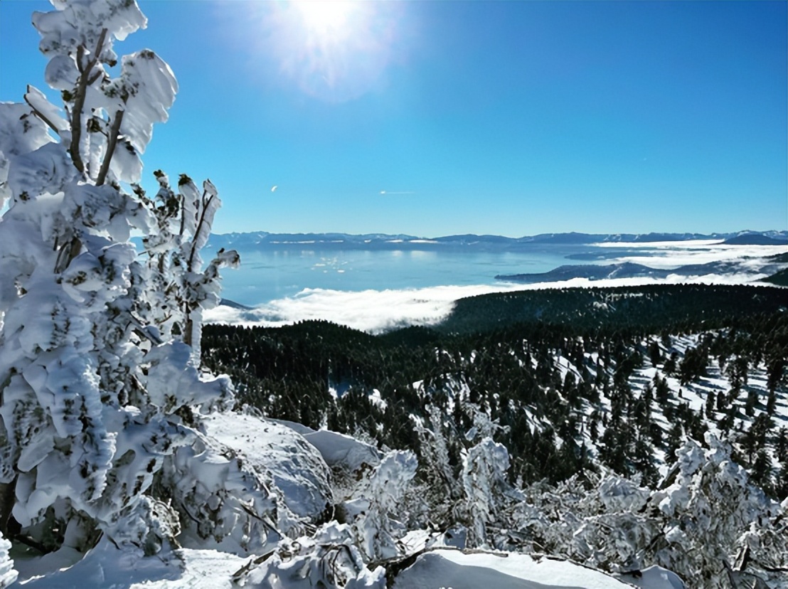 婕▉楣扮溂杞︾ジ,婕▉楣扮溂鍙椾激