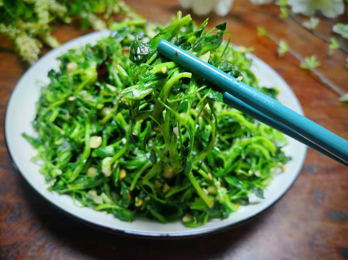 阳春三月必吃的野菜,阳春三月野菜成餐桌新宠