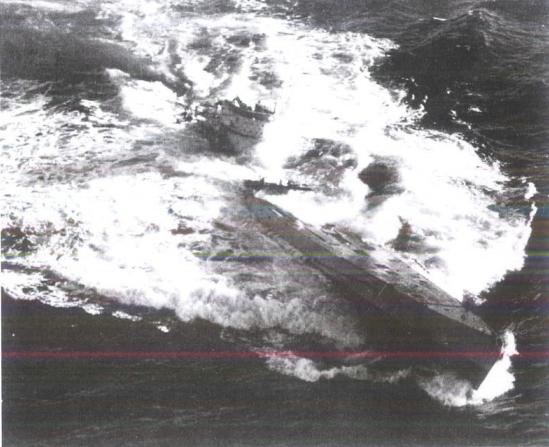 漂泊的鱼完整版,漂泊的鱼鹰