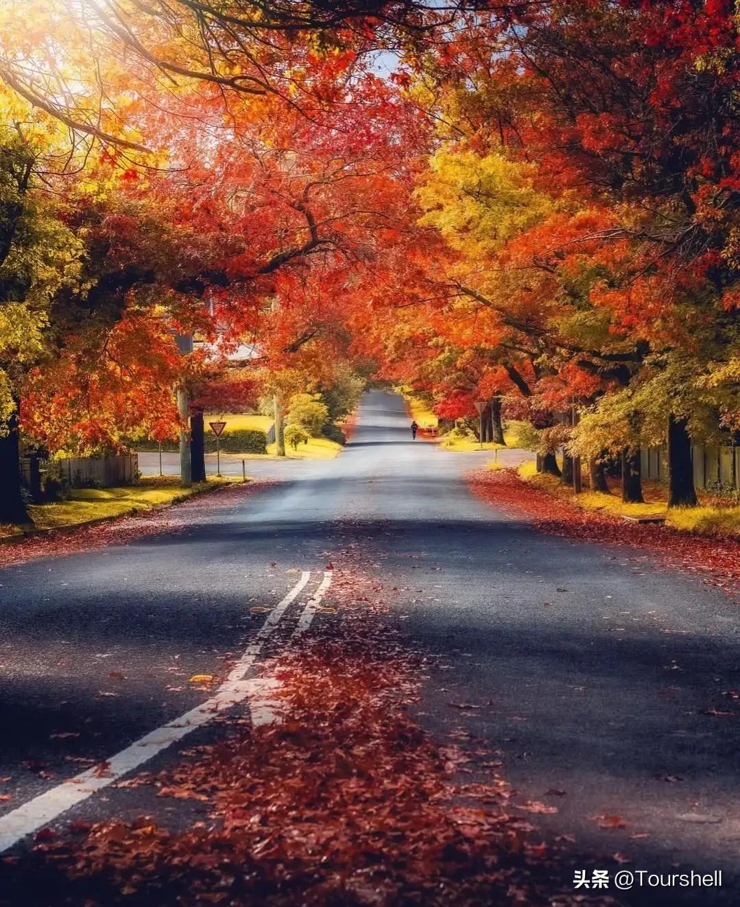 世界上最美的五十个城市之三十四🇦🇺悉尼