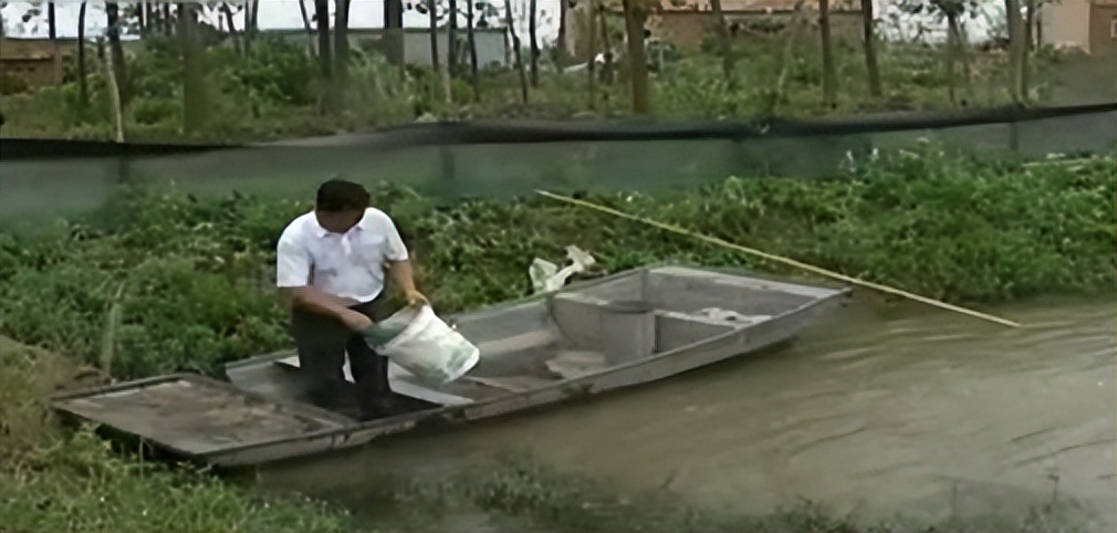 两只螃蟹拍卖出20万，农村大叔养出天价蟹，带动当地年收入20亿